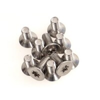 IP SAFETY TORX SCREWS