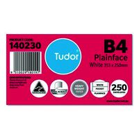 Envelope B4 Tudor 353 x 250mm Peel N Seal Heavy Weight Pocket 140230/118019 Box 250