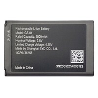 SPARE BATTERY W810 WP820 DP730