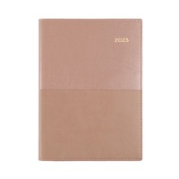 Diary Collins Vanessa Wiro A5 Day to a Page Rose Gold Y2025