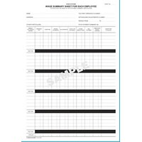 Wages Summary Sheet Zions Systems Form 302C Pack 25 approx and BinderPunched 