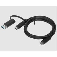 LENOVO HYBRID USB-C WITH USB-ACABLE 2M 