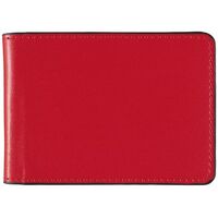 Business Card Holder Debden Accent 24 Capacity B715 Red