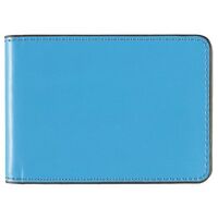 Business Card Holder Debden Accent 24 Capacity B757 Blue