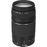 EF75-300 EF 75-300MM F4-5.6