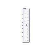 Diary Refill Dayplanner Executive Today Ruler EX5008