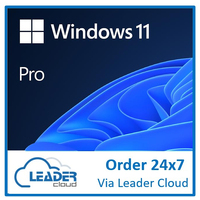 Microsoft ESD Windows 11 Professional (ESD) Electronic License throu CSP - No Refund.