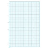 Graph Pad A4 2mm Impact 7 Hole Punched 25 Sheets GP840