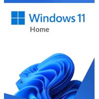 MICROSOFT RETAIL WINDOWS 11 HOME (64 BIT) - USB BOX