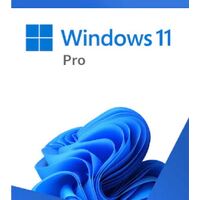 MICROSOFT RETAIL WINDOWS 11 PRO (64 BIT) - USB BOX