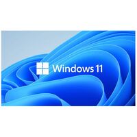 MICROSOFT OEM WINDOWS 11 PRO (64 BIT) FOR WORKSTATION - DVD OEM PACK