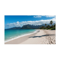 SHARP DIGITAL DISPLAY (PN-UN) 55" FHD, 700NITS, HDMI, LAN, PORT/LAND, S-IPS, 24H/7D, 3YR