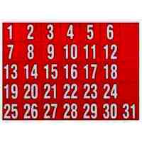 Magnetic Sheet Quartet Dates Red Set of 31