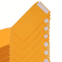 Seed Envelope No 5 Gold Kraft 120mm x 65mm B0x 1000