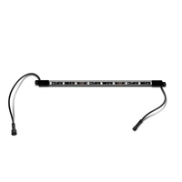 Ecoxgear Strip 2/4 Cart + Con