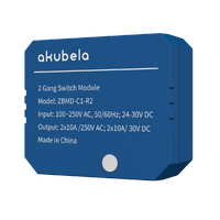 AKUBELA ZIGBEE CONTROLLER 10A STANDARD